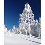 <b>... byla zima ...<b/>