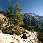 -= tatry =-