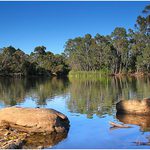 Rybník na konci léta.