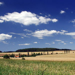 Už bylo zimy dost... :-)