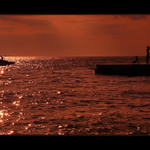 ...selanka u rudého moře...