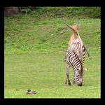 Láska je láska když ....