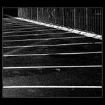 ...  cynanthropy  ...