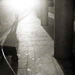 maddog: chase in the city
