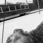 maddog: gentle passing