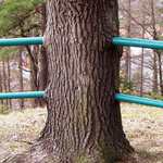 kam se ztratil sloupek?