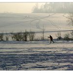 Havířovská zimní krajina (5)