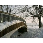 Havířovská zimní krajina (6)