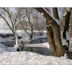 Havířovská zimní krajina (8)