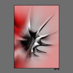 Mušle trochu jinak II