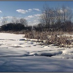 Zasněžený vypuštěný rybník