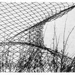 Tam někde v kopřivách II...