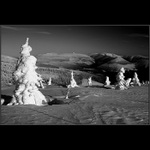 Aladin na výletě v Krkonoších