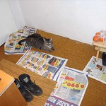 Trudy, boty & pomaranče