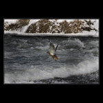 <b>... Prelet ...</b><br>