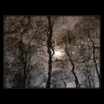 <b>... Odraz...</b><br>