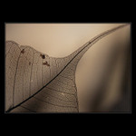 <b>... / ...</b><br>