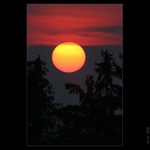 Dobrý večer, dobrou noc.