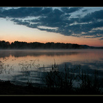 Východofka Šumavská