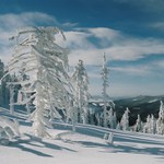 Do jara ještě daleko