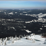 Šumava z Velkého Javora