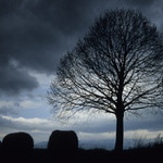 V poledne, v tom okamžení ...