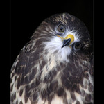 ...ták a ještě trochu doleva a nehýbat...