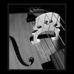 .:: Violoncello II ::.