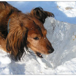 ... ta nejlepší hračka v zimě :O)