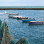 pristav vo Folkestone