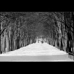 <b> zimní procházka </b>