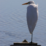 Dnes zadne navstevy!!!!