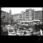 Camogli - Liguria