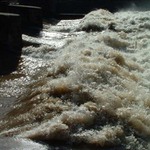 <b>divoká</b> Divoká Orlice