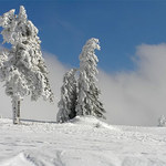 * dedo mraz caruje *