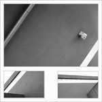 = Linie =