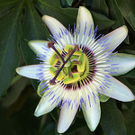 jaro je tady, léto se blíží!  ;o)