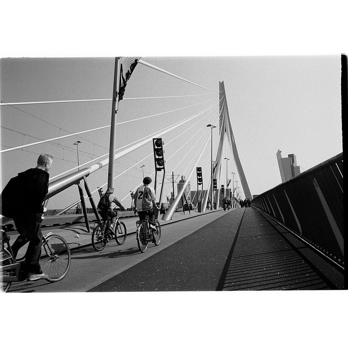 nederland.04 (erasmus-brug)