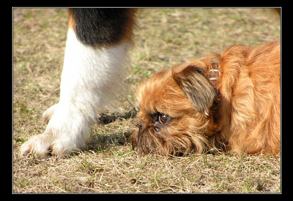 Na velikosti záleží...