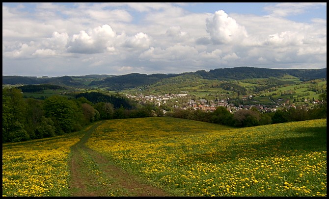 Rodné město, město mé II.