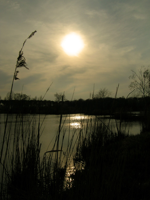 -západ nad jazerom-