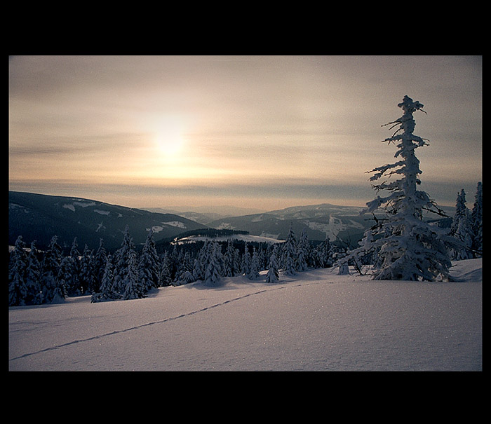 Krkonoše III