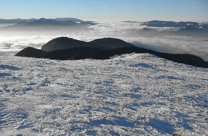 Inverzia