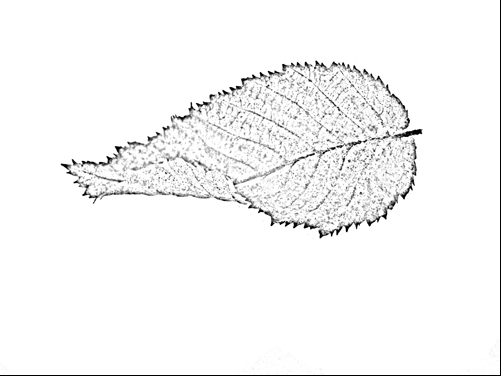 zima byla