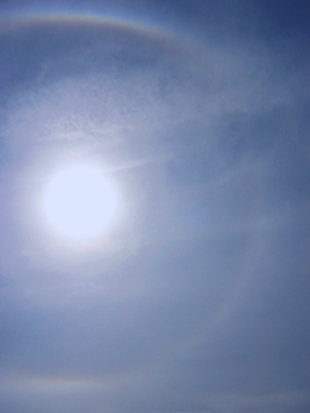 Malé halo
