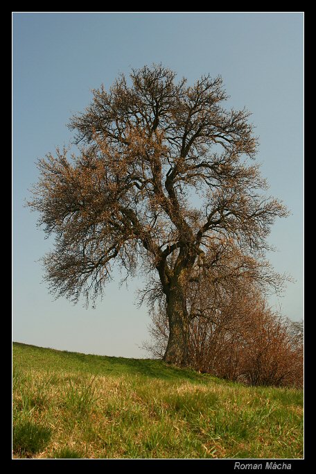 Počátek