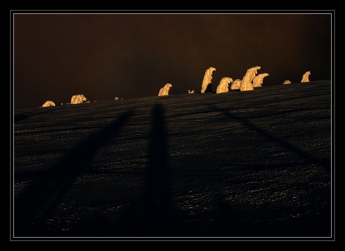 Alien Evening