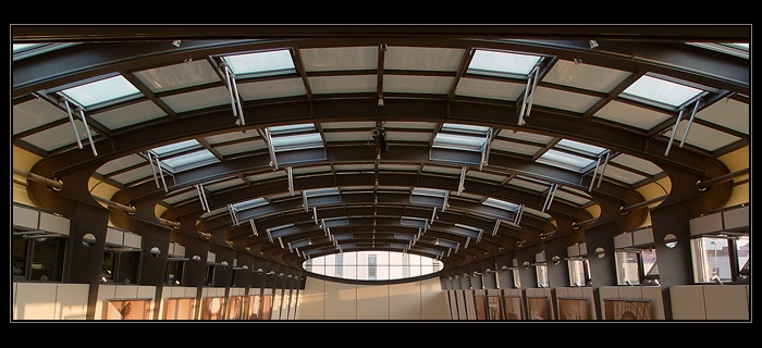 Blízká setkání třetího druhu