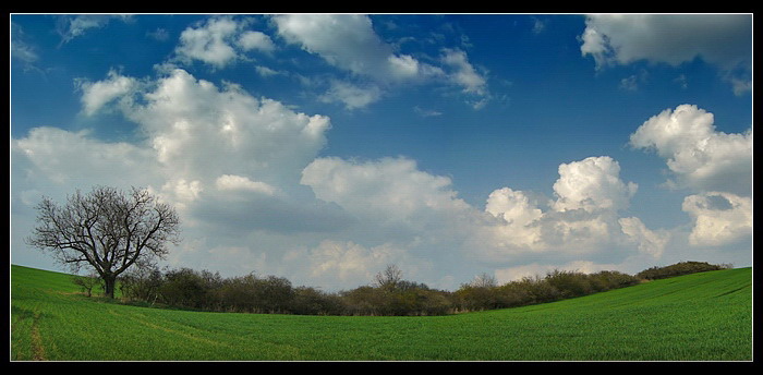 <b>Had poľný-panorama release