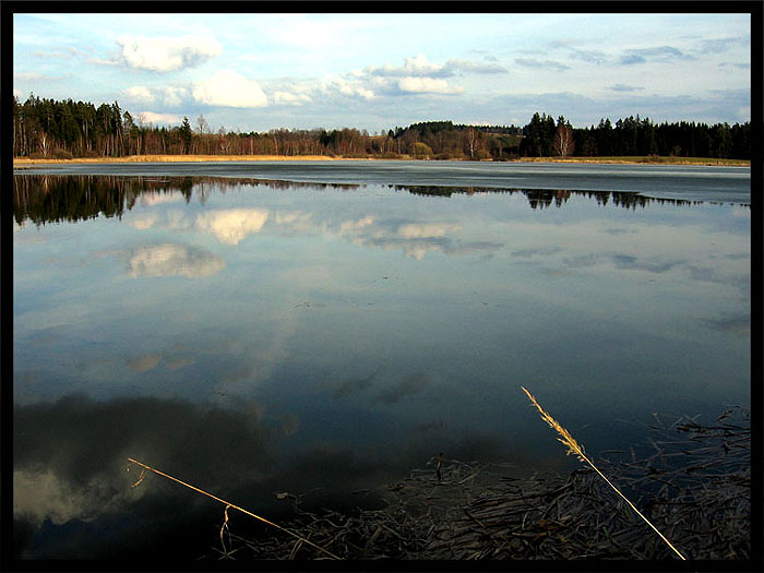 Vlčetínský rybník